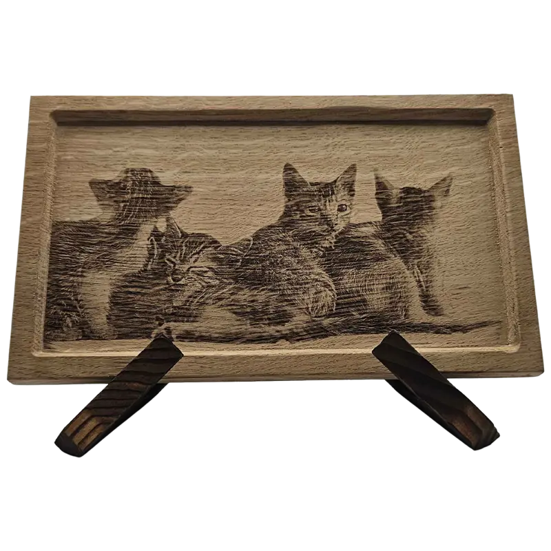 Cadre en chêne avec photo de chat gravée
